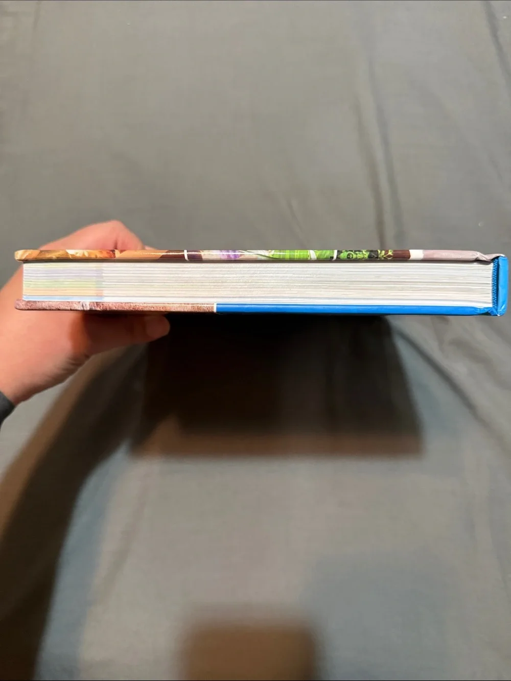 Disney 224 pages
